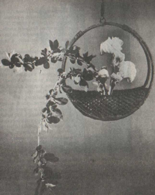 ������� ����� � ������ �������